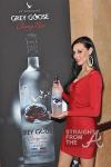 Trey Songz Fox Grey Goose Suite SFTA-5