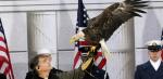 American Eagle