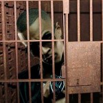 T.I.’s Probation Officer Seeks Jail Time…