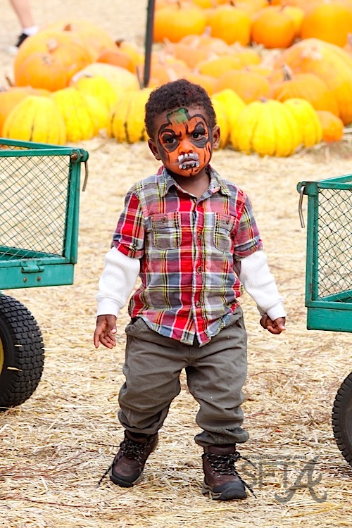 Daddy Day Care: Usher & Sons at The Pumpkin Patch? - Straight From The ...